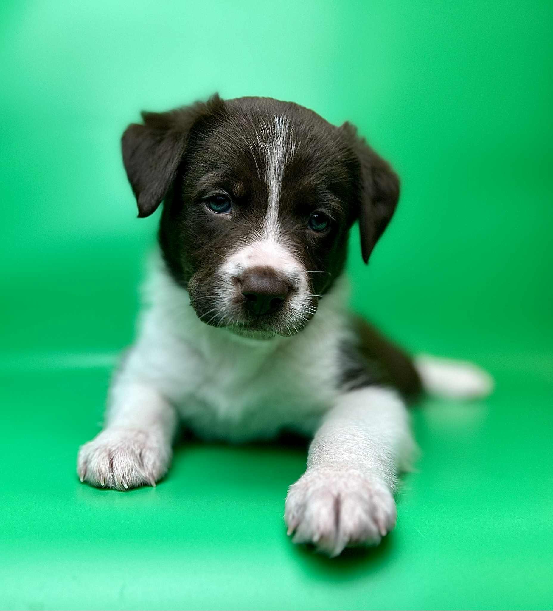 0537f742-576b-48a7-86ad-30ce40d29c58 0537f742-576b-48a7-86ad-30ce40d29c58