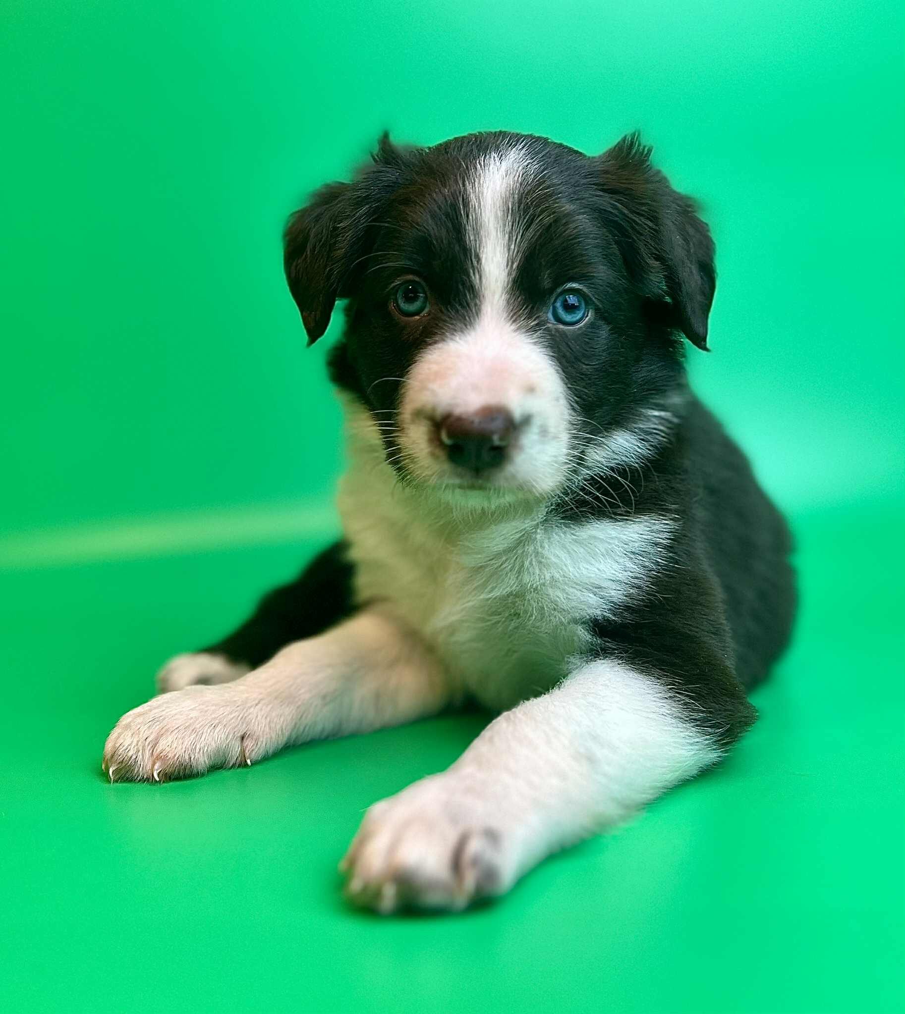 1363a504-dc15-430d-8df9-da493e601e61 1363a504-dc15-430d-8df9-da493e601e61