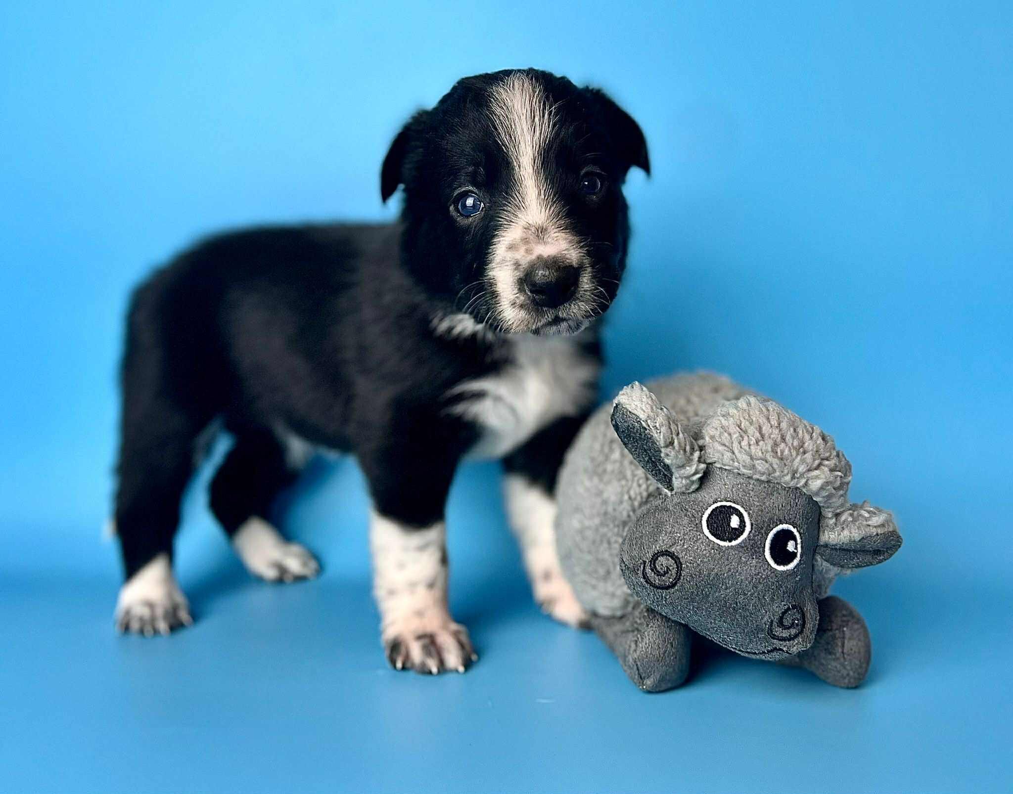 1ac4912d-8c15-448d-b955-1e0f47b9a726