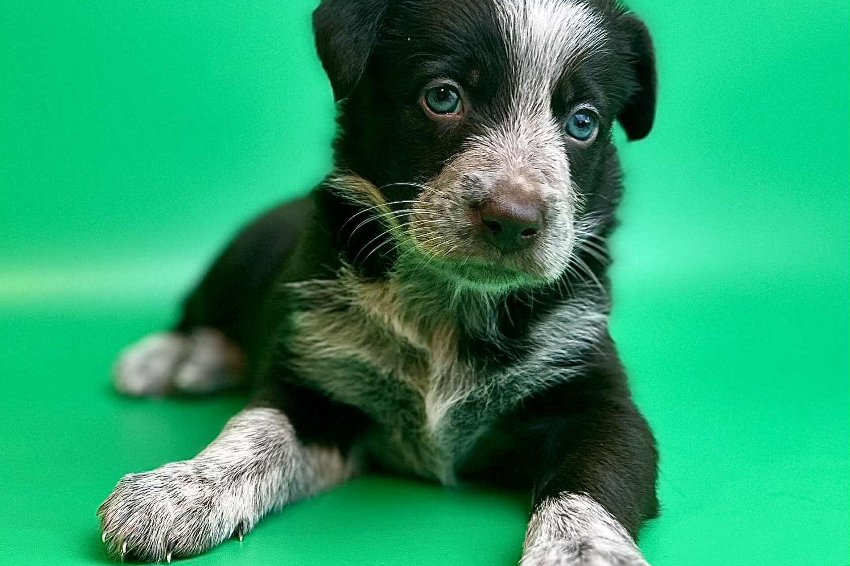 24c0232c-44f1-42a5-8abc-89479abbc67f 24c0232c-44f1-42a5-8abc-89479abbc67f