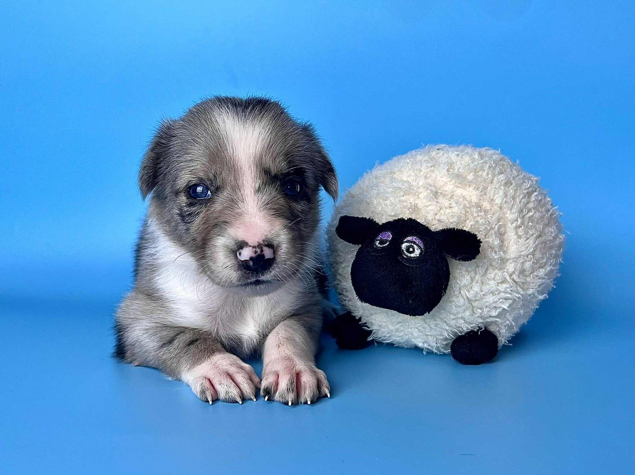 31158d39-9a98-4e70-84a5-7aac54f4ee14