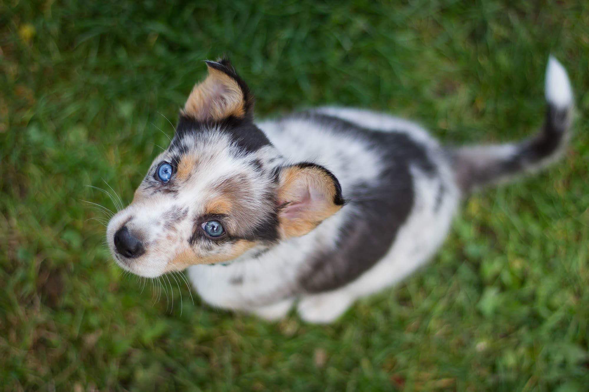 367379660_122109870848007403_7340447587088974844_n