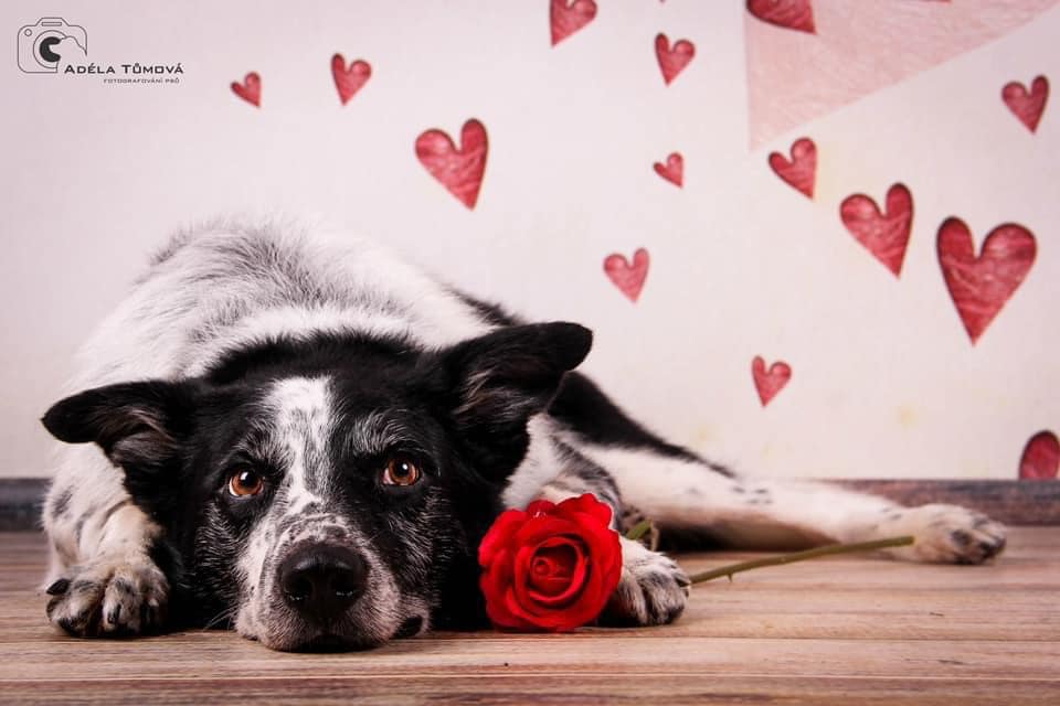 369327429_122109859034007403_3291251436811255558_n