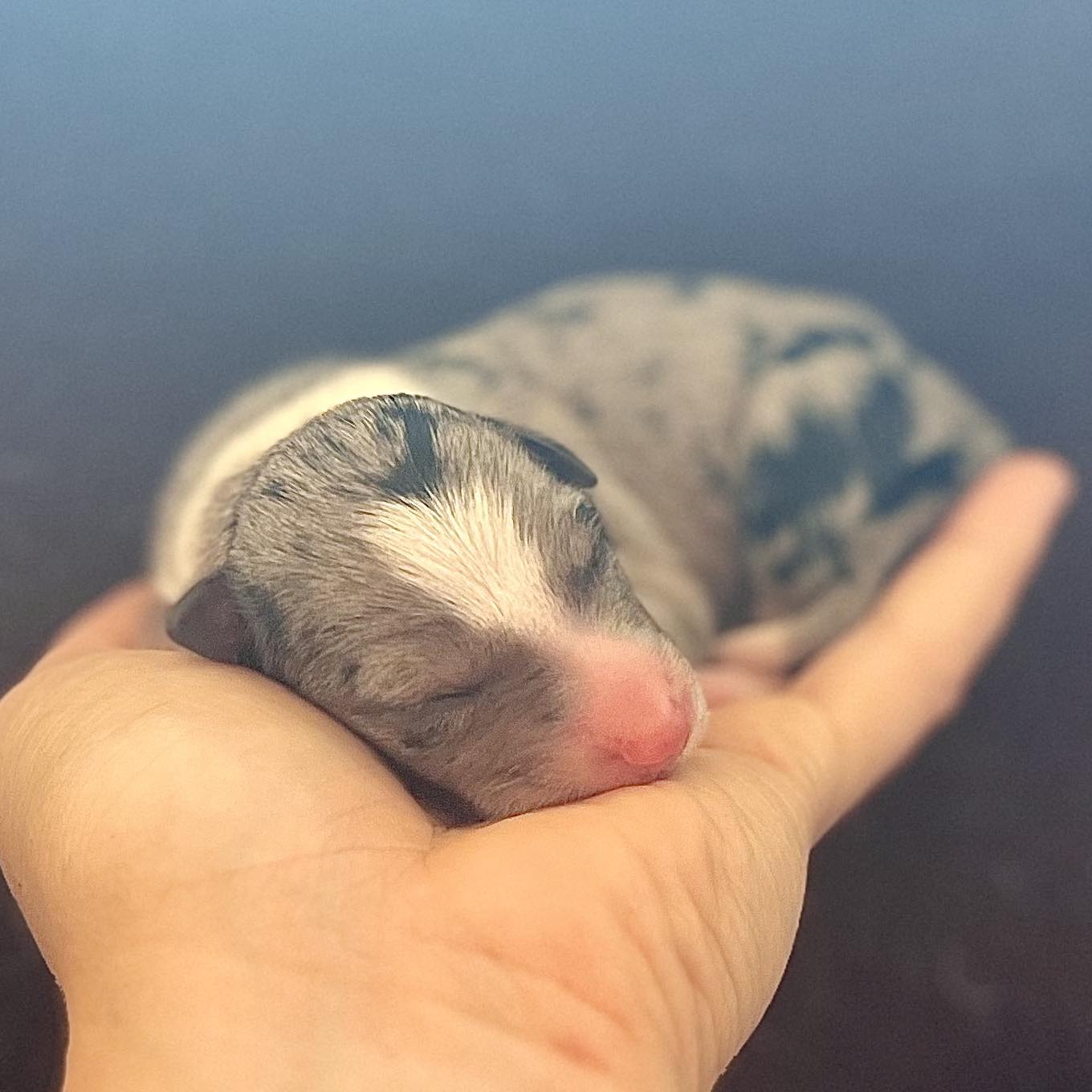 455164728_122216353310007403_4431497724896181769_n