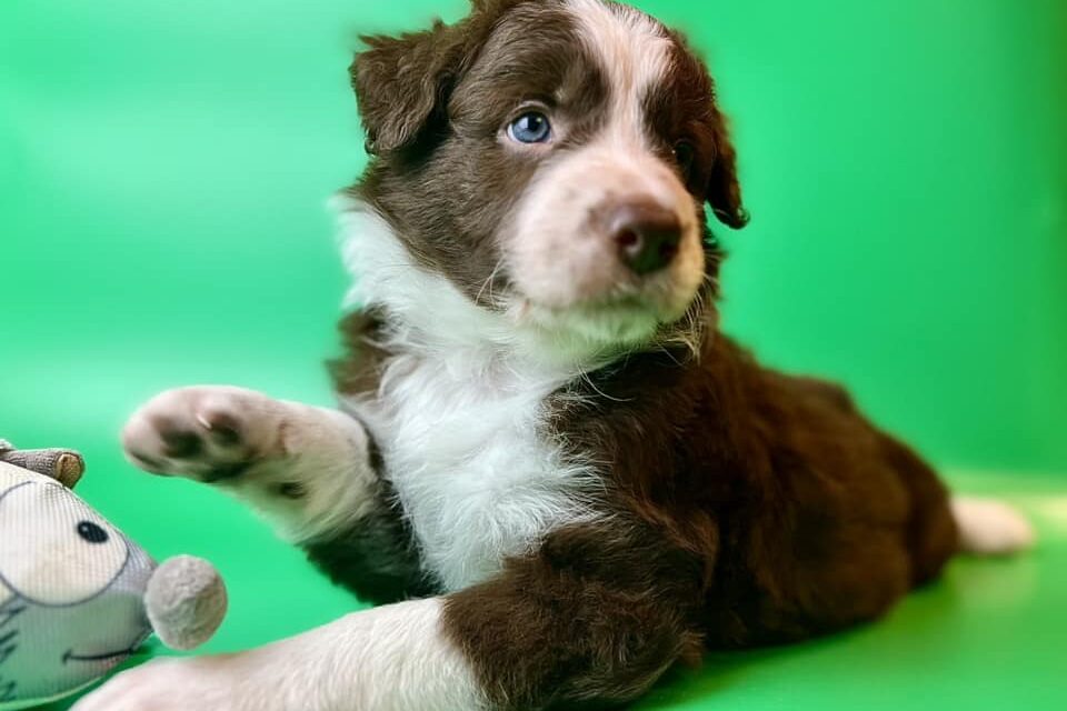 481706754_122253932654007403_2783869061631694314_n 481706754_122253932654007403_2783869061631694314_n