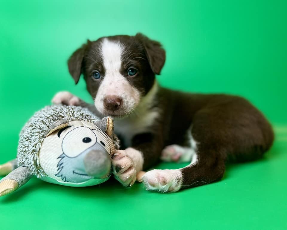 481775199_122253932180007403_1928631987390194538_n 481775199_122253932180007403_1928631987390194538_n