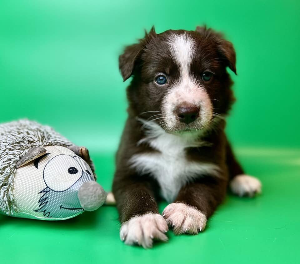 481971628_122253933056007403_2651846241981708931_n 481971628_122253933056007403_2651846241981708931_n