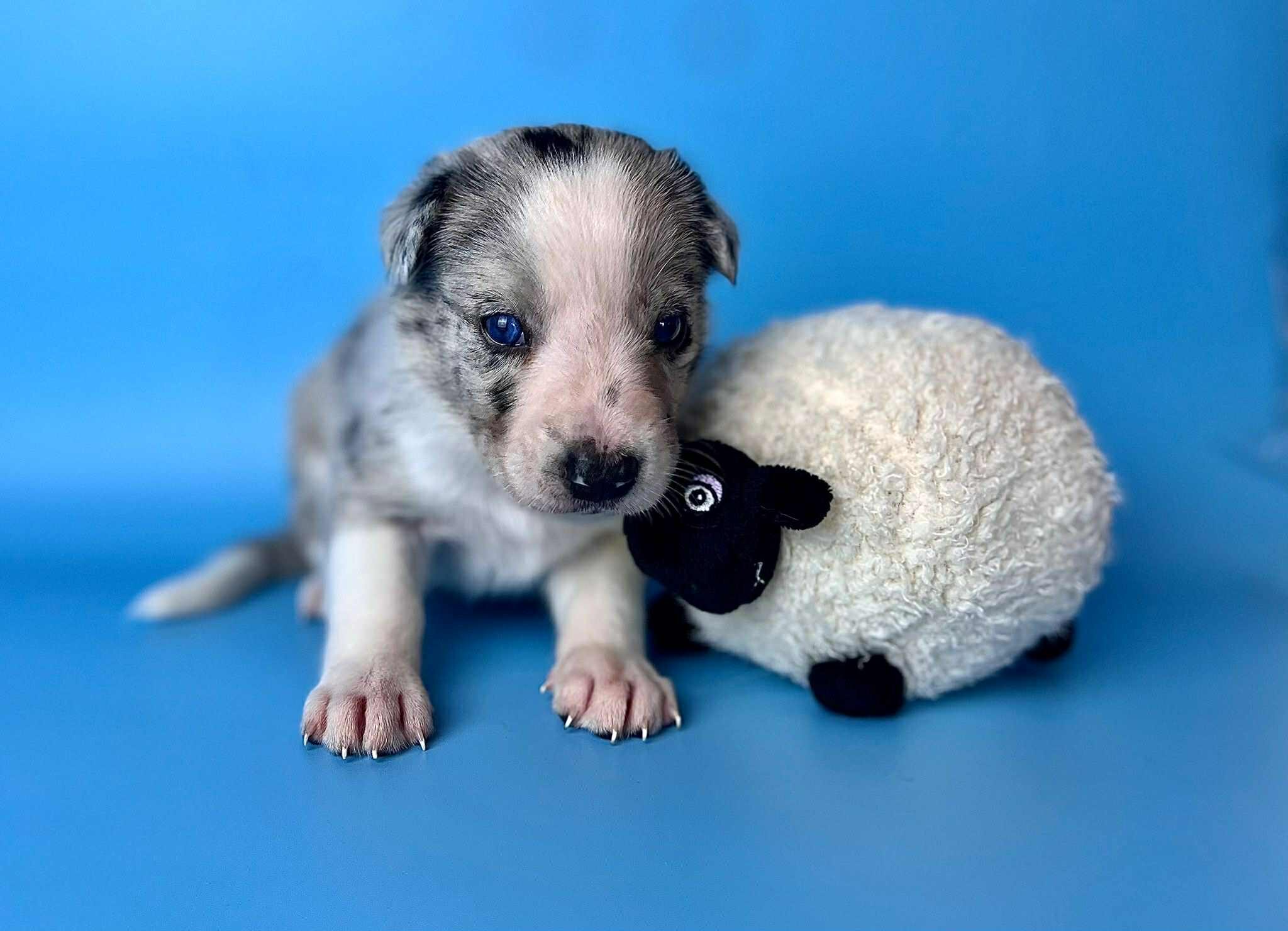 4e2263d4-86ea-4bc5-87fa-da28c89eebdf