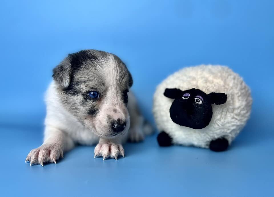 554934627_10213793015137419_4958679172327718653_n