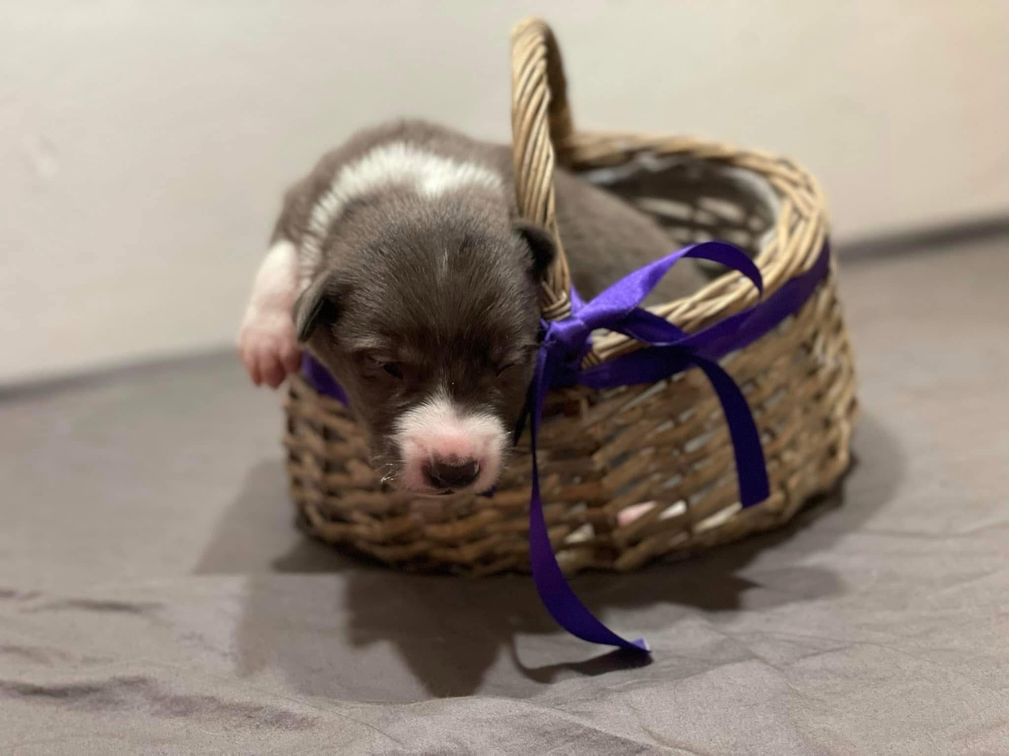 566206174_10214107386596509_4960589397342798327_n 566206174_10214107386596509_4960589397342798327_n