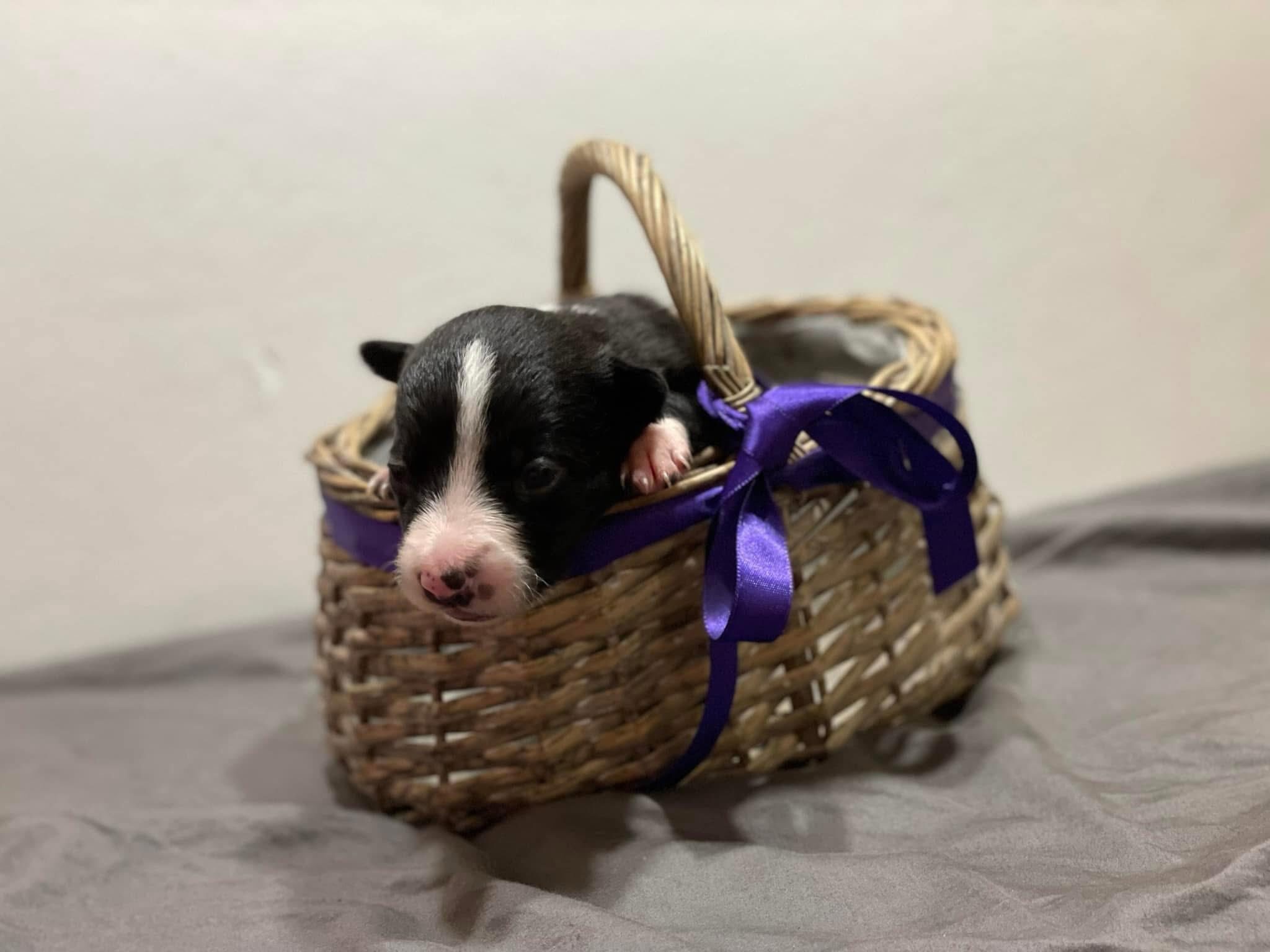 567654269_10214107387036520_8509145073413252053_n 567654269_10214107387036520_8509145073413252053_n