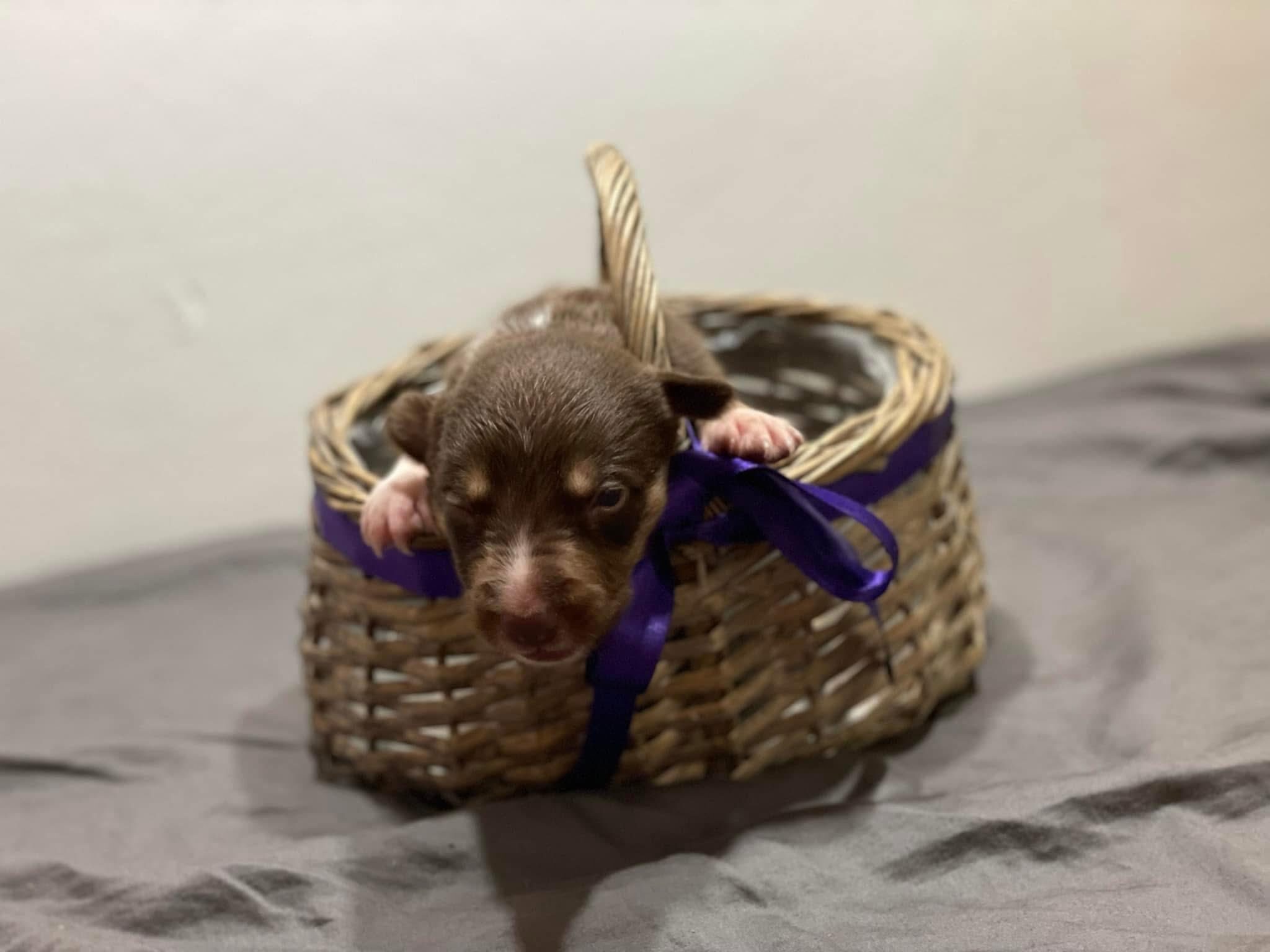 567676101_10214107386436505_5210682611661903399_n 567676101_10214107386436505_5210682611661903399_n