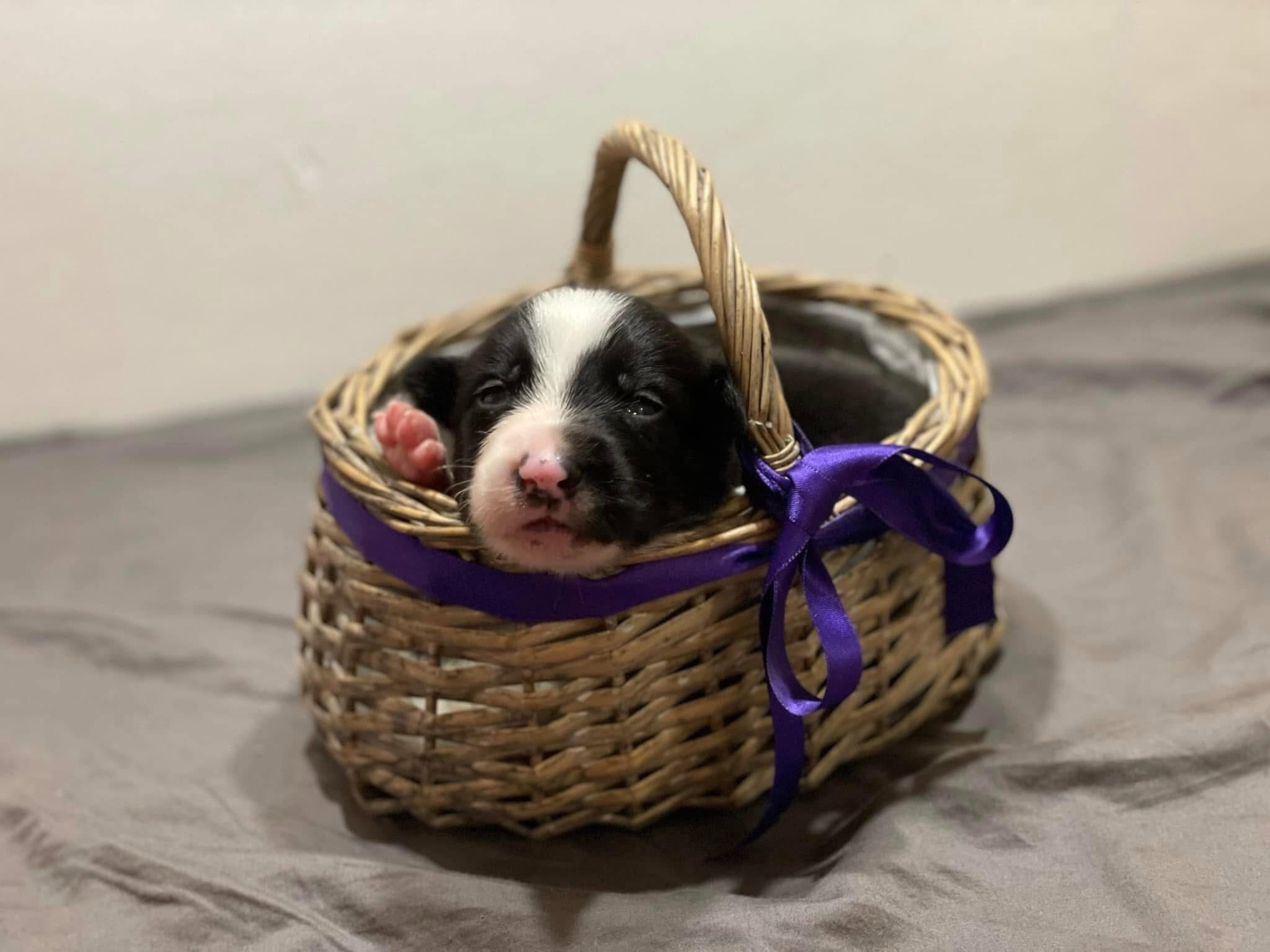 567703752_10214107386756513_5366056968861712371_n 567703752_10214107386756513_5366056968861712371_n