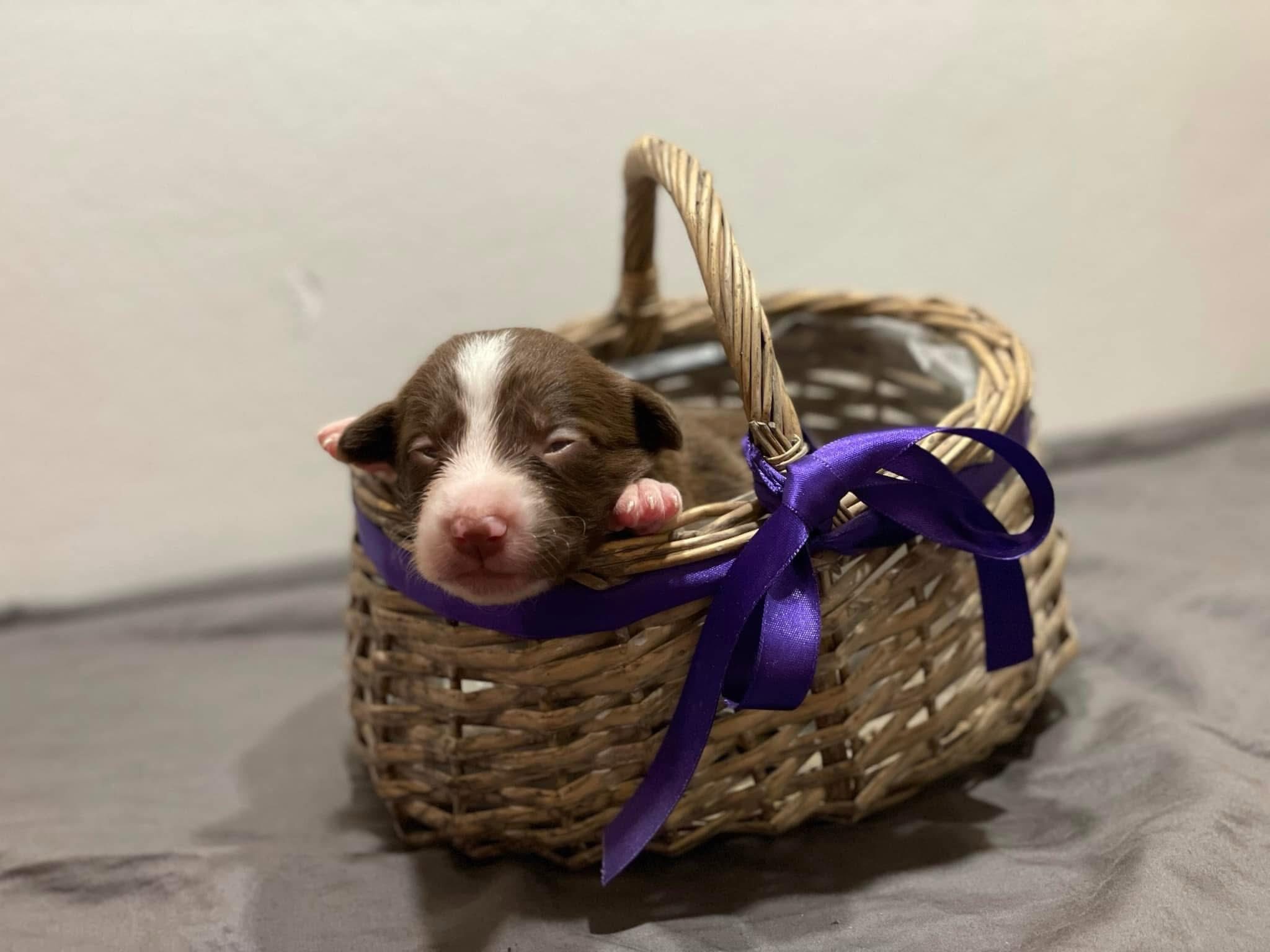 569176743_10214107385756488_3774395841714077956_n 569176743_10214107385756488_3774395841714077956_n