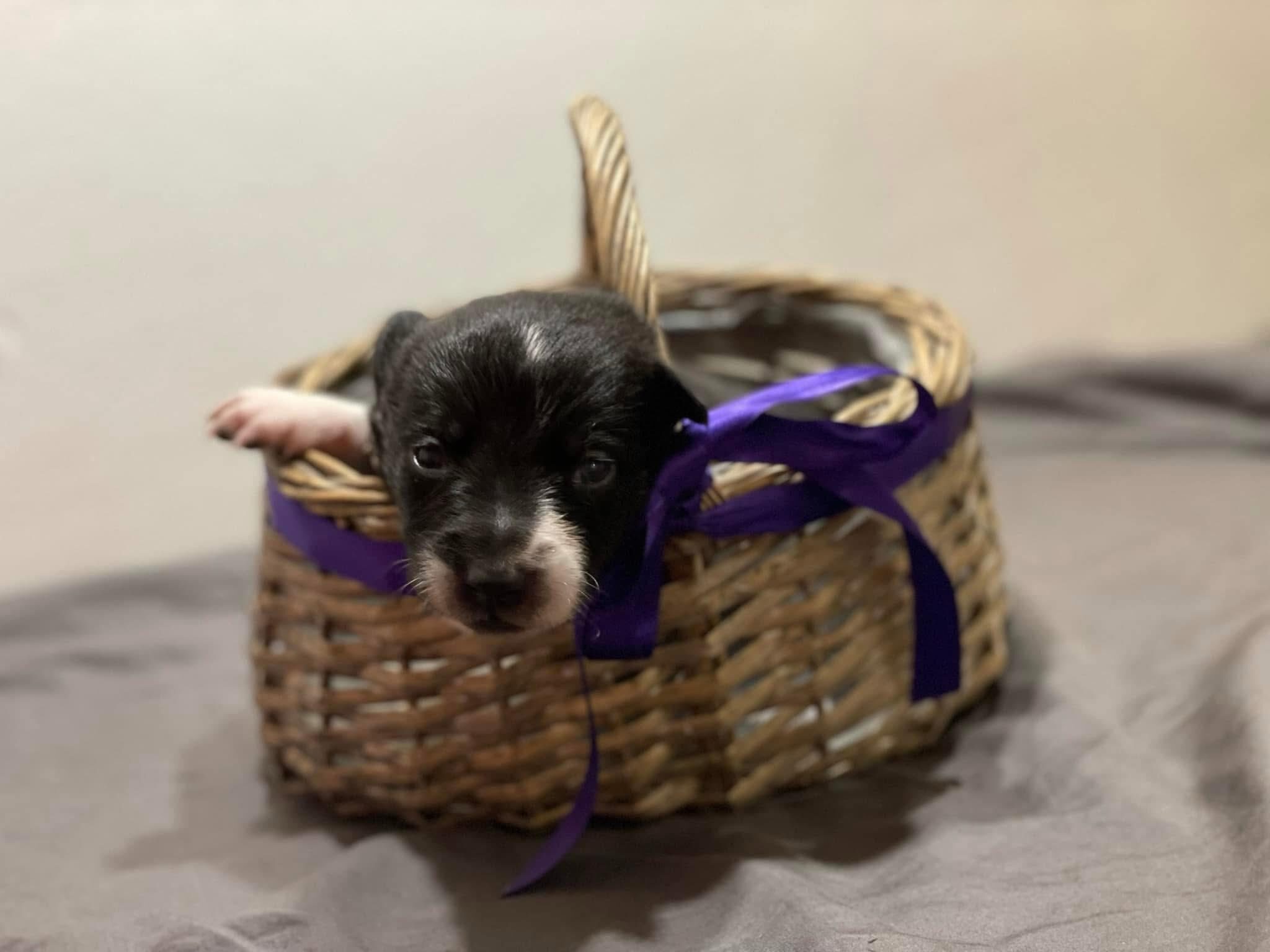 569674031_10214107386396504_4245524104774291885_n 569674031_10214107386396504_4245524104774291885_n