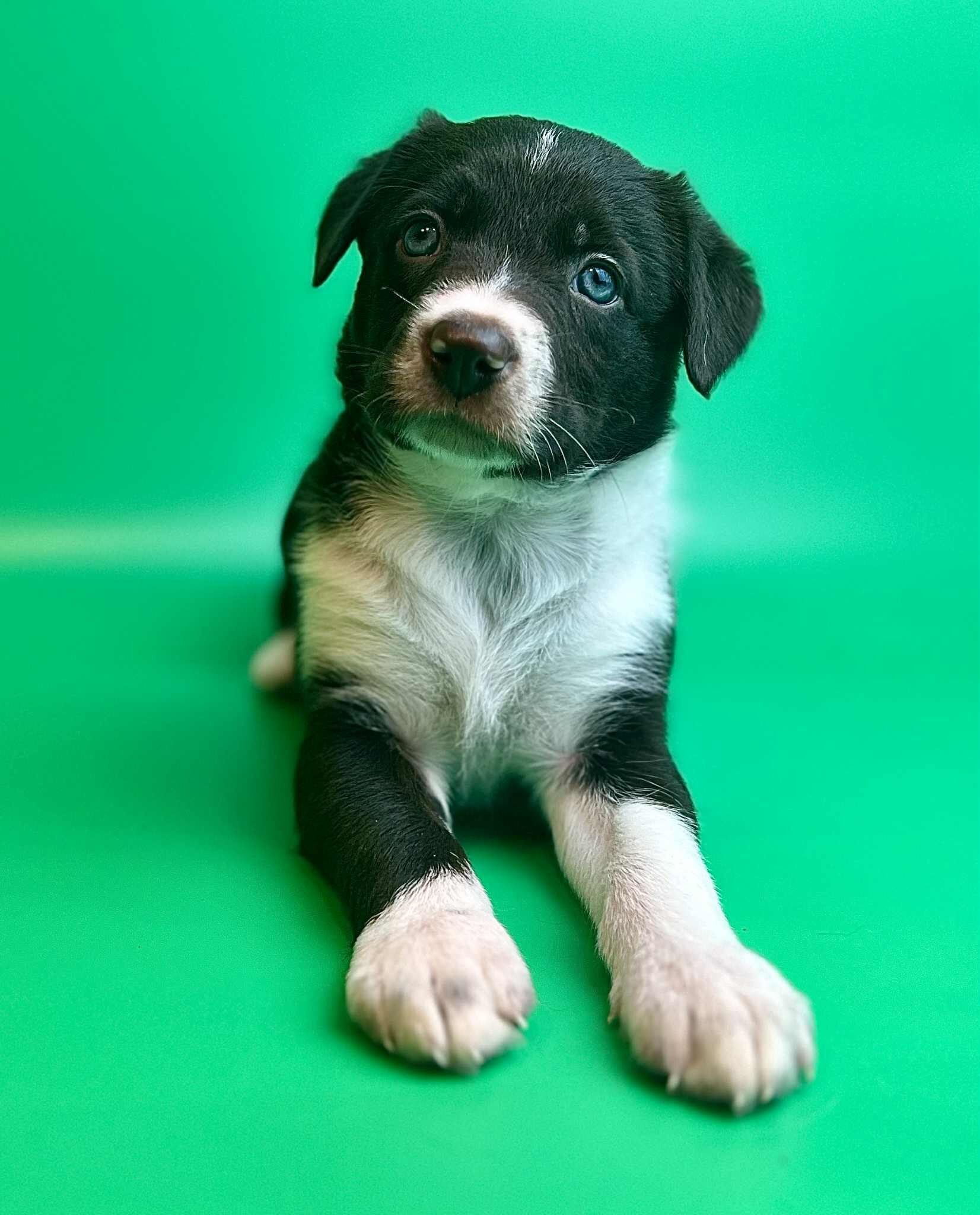 5d7f90ca-e920-44f7-918d-342fae25d061 5d7f90ca-e920-44f7-918d-342fae25d061