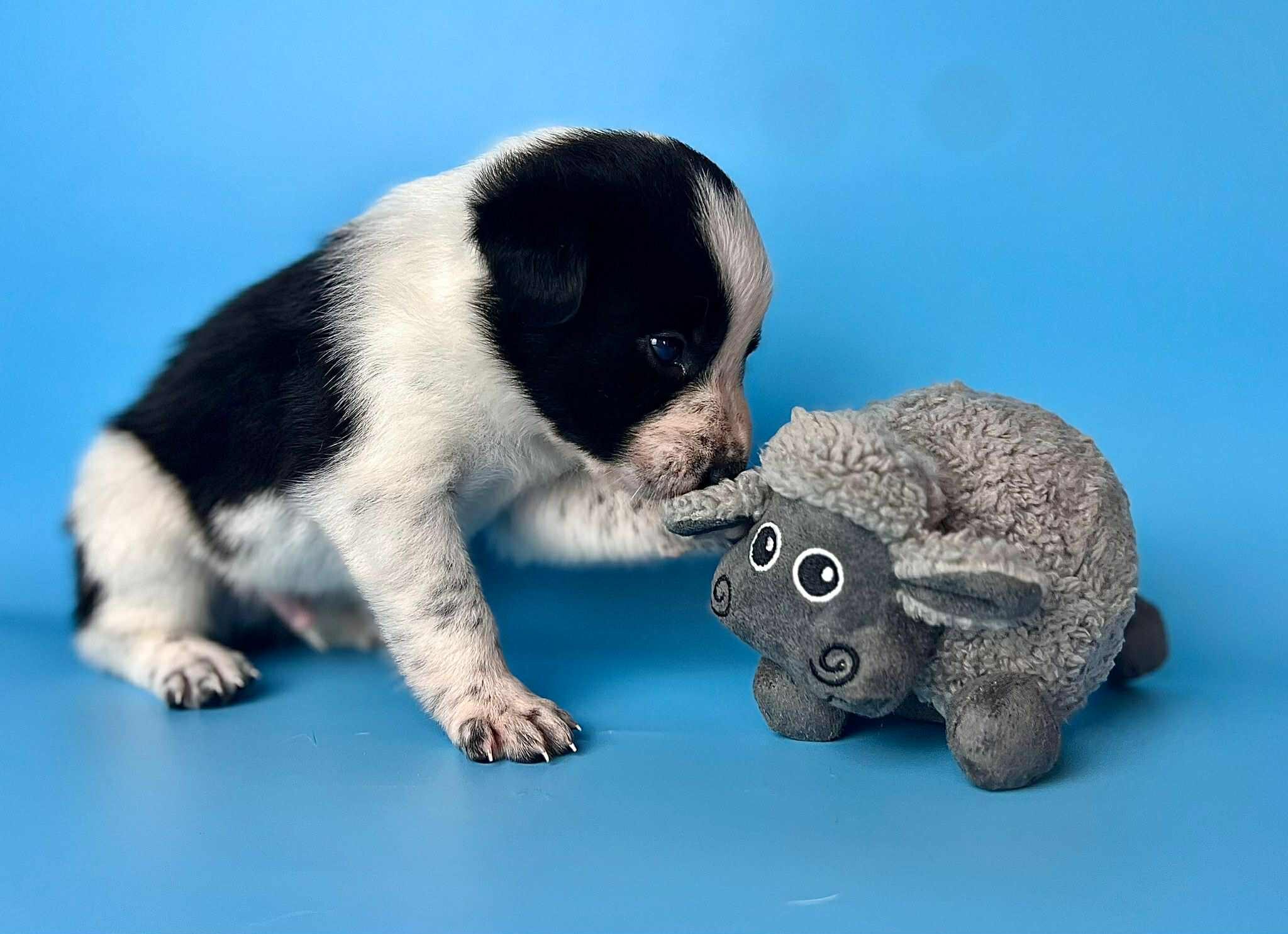 790e1723-bfca-45c9-9439-d1441b3b11fb