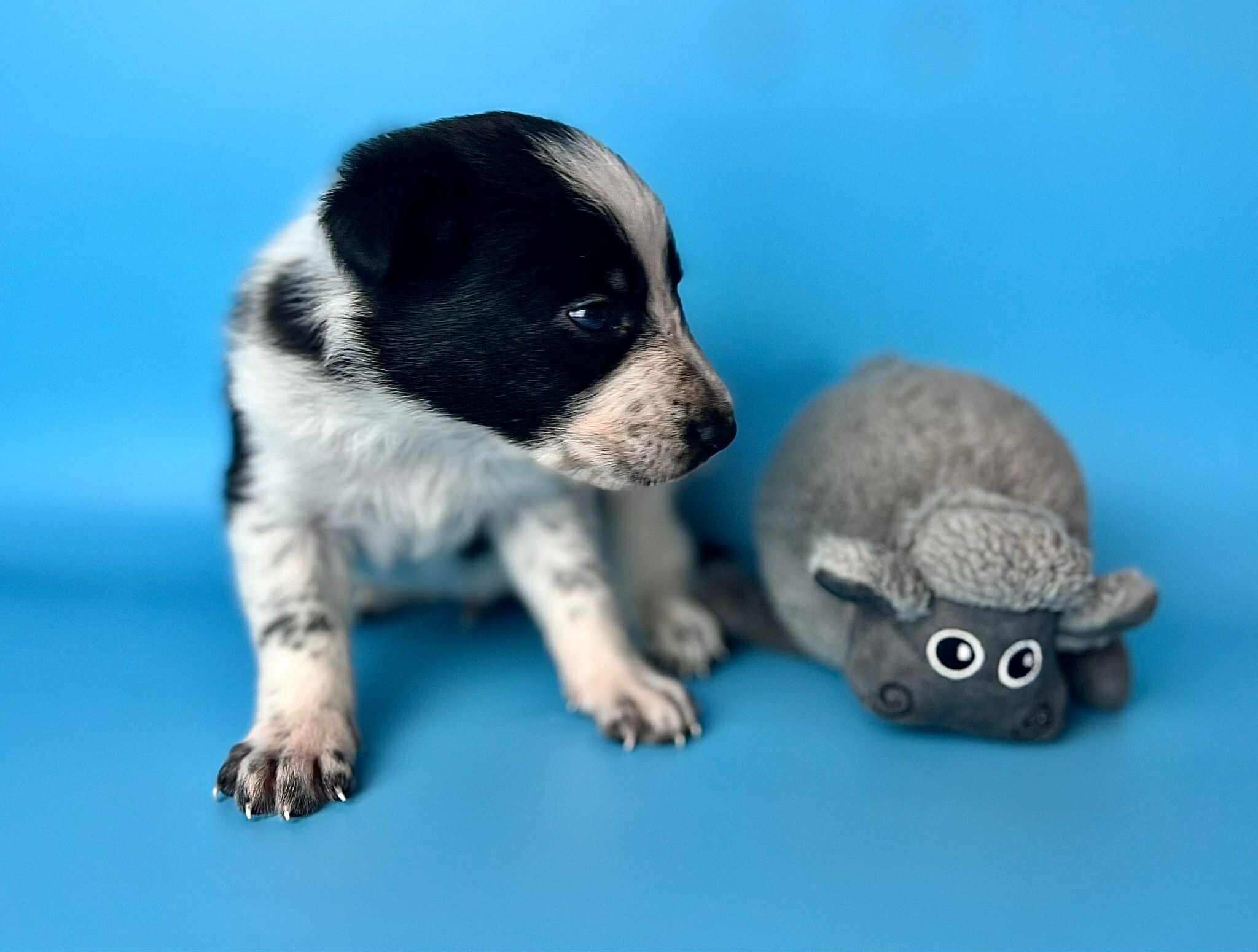 b016672d-5a7f-4289-b154-bef9f9cce88f