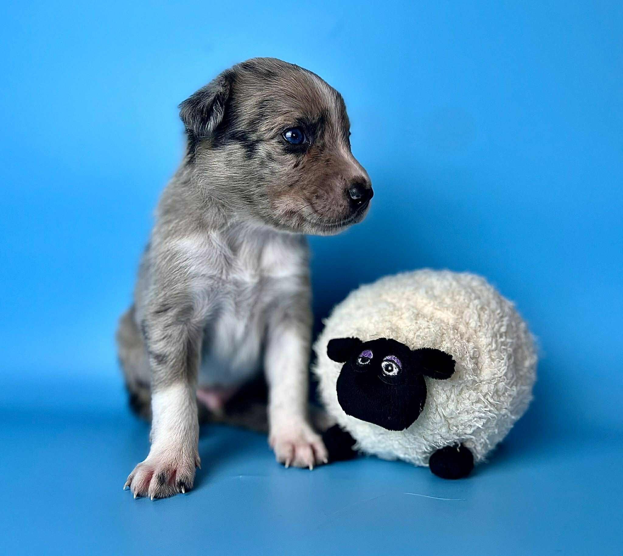 bae028c9-bc53-44ca-85c5-d334a5a20136