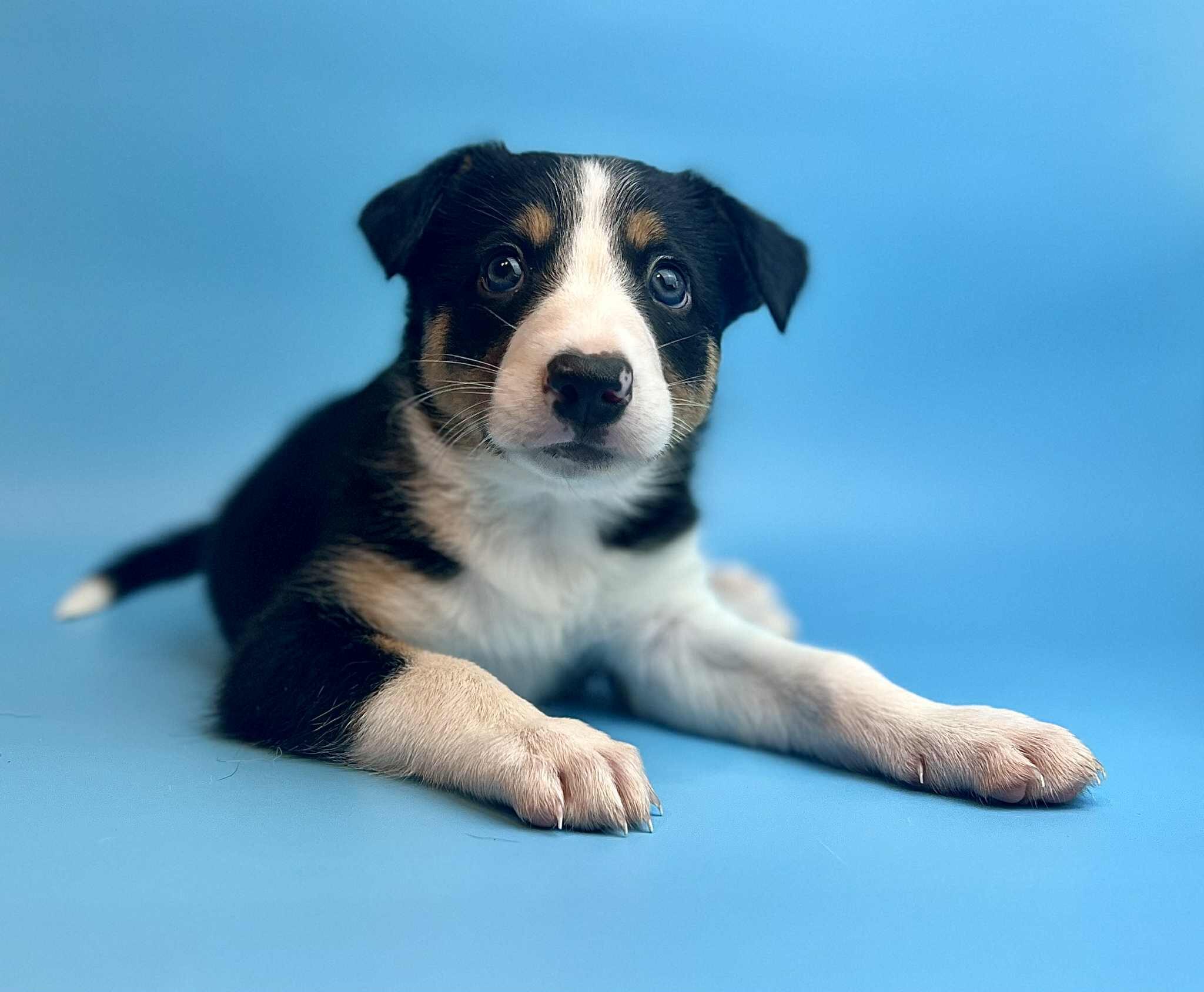 beb919bb-d267-4cb1-ac01-f6dd279a4e1e