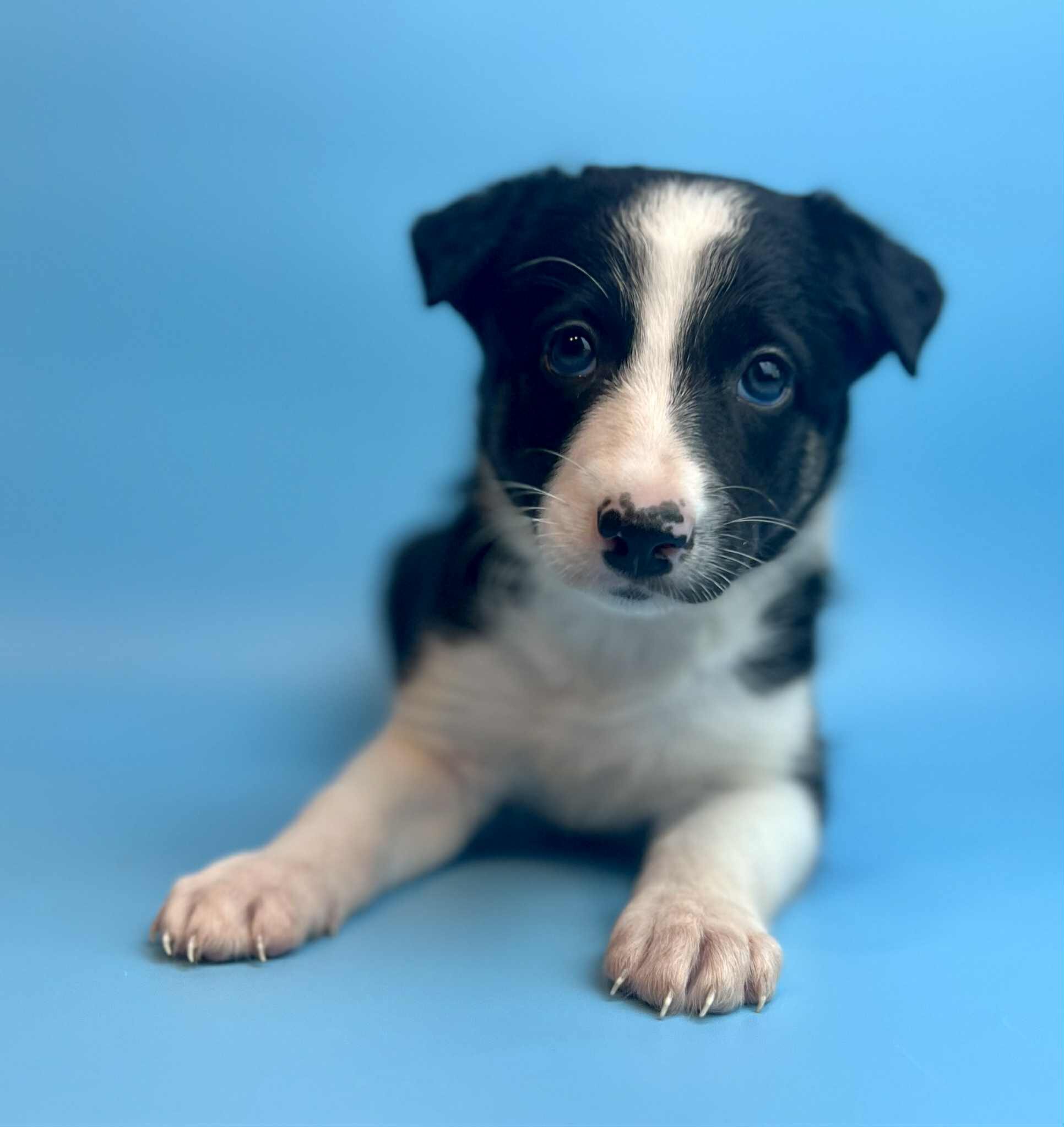 c3636d16-1642-4fe7-aa9a-be0419231b7d