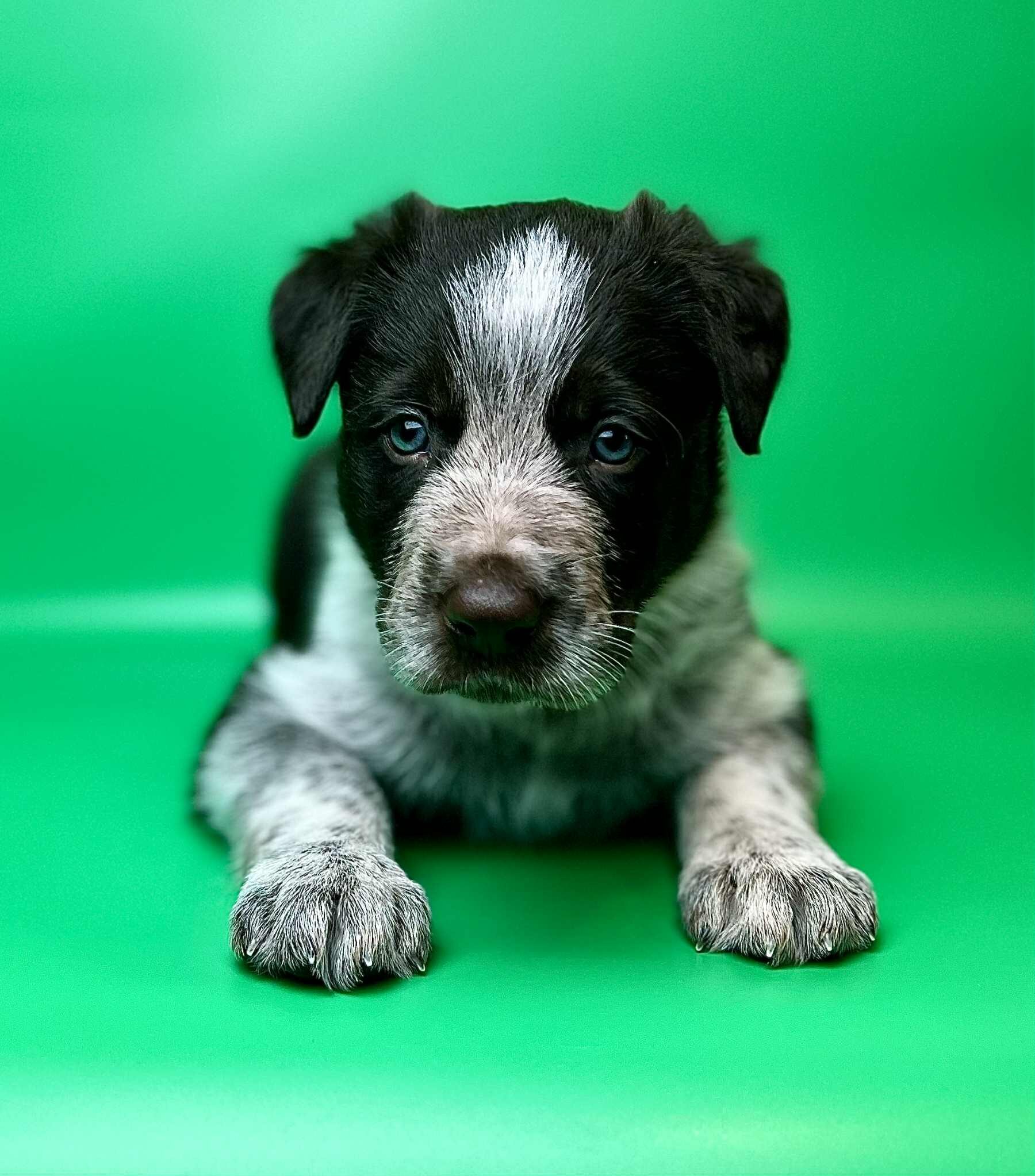 f7a6450b-3dfe-406c-bbeb-3b6ebda69b6f f7a6450b-3dfe-406c-bbeb-3b6ebda69b6f