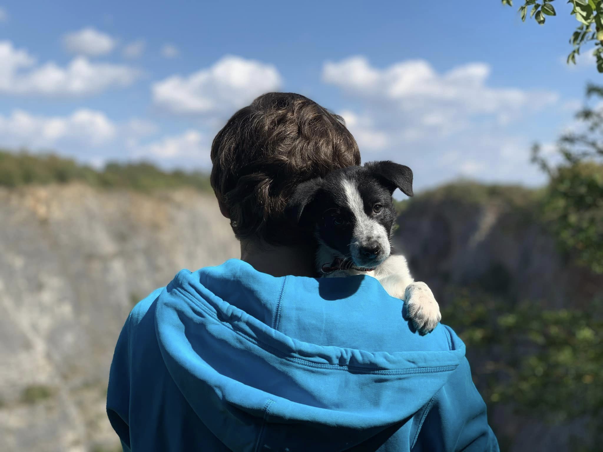 367012903_122110053782007403_8284038001377525955_n