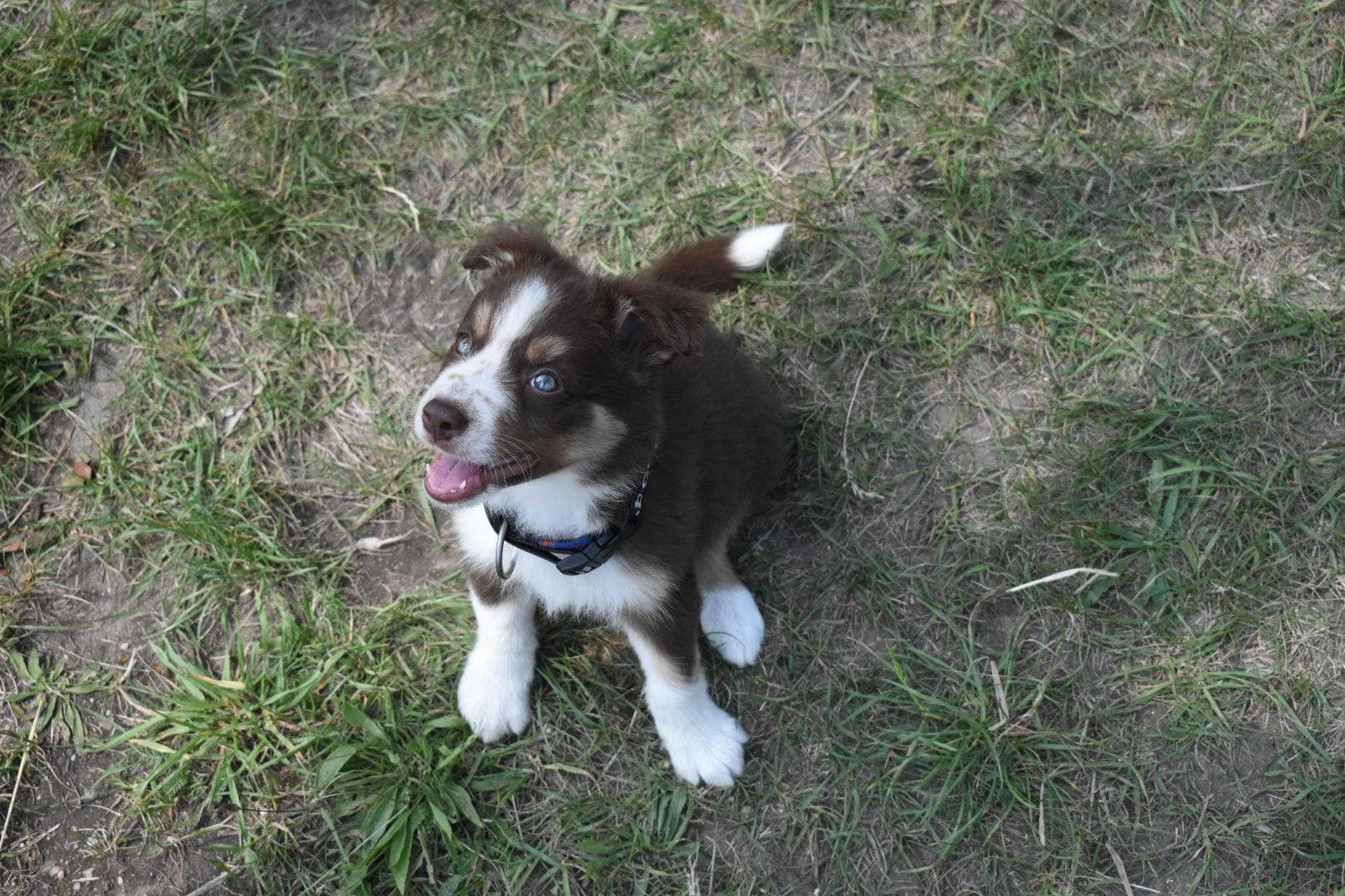 367463005_122109883010007403_6438680970777041858_n