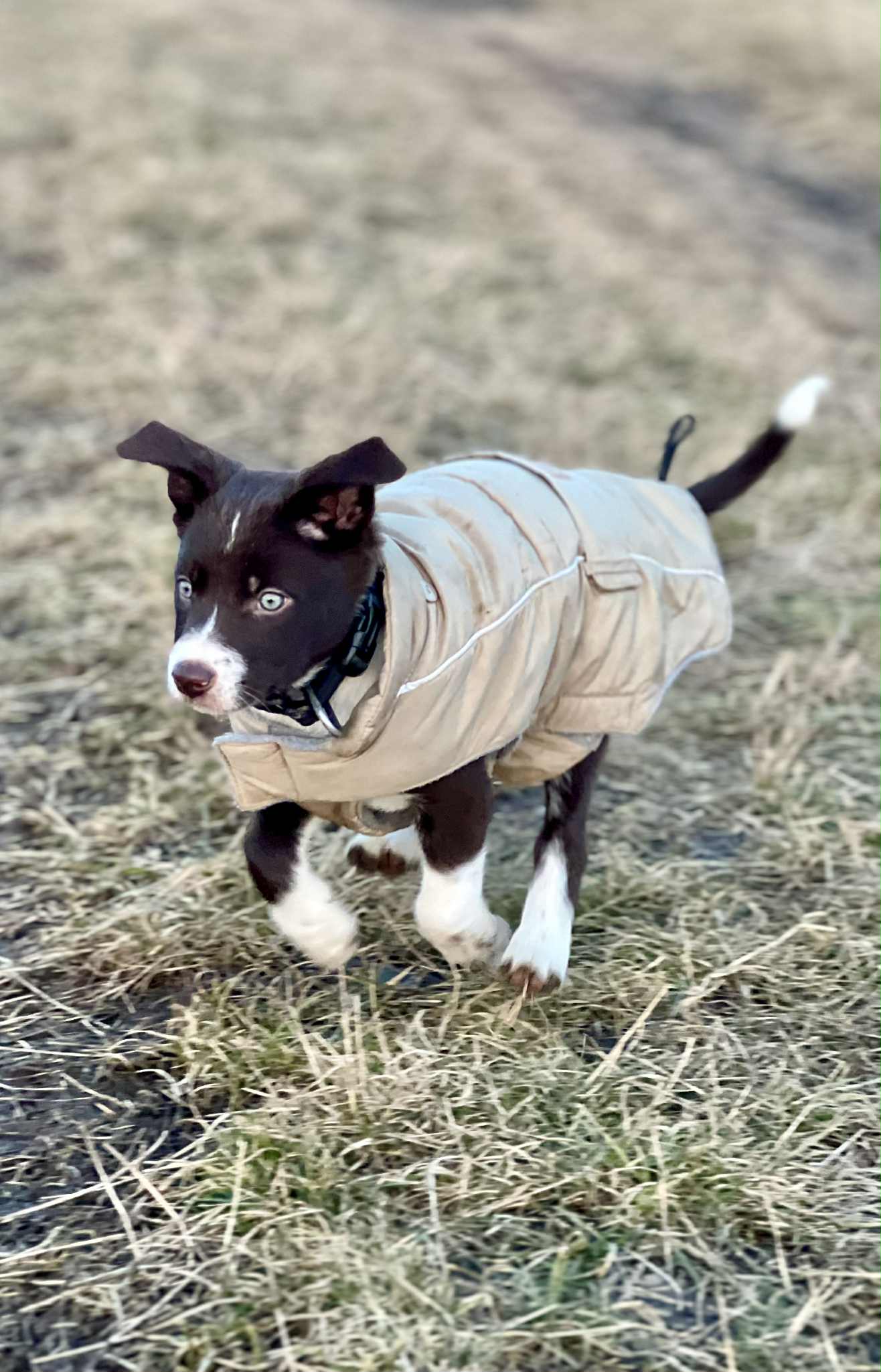 62a5719e-2b6c-4ca7-8b36-12e7bc6cdfc5