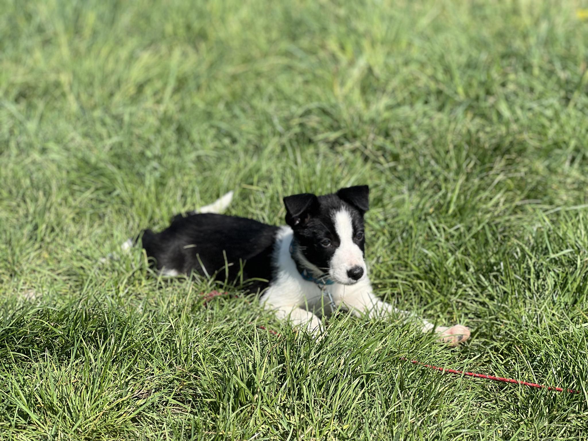 ead91539-6faf-46d7-9545-eb8b2c8fd4b2