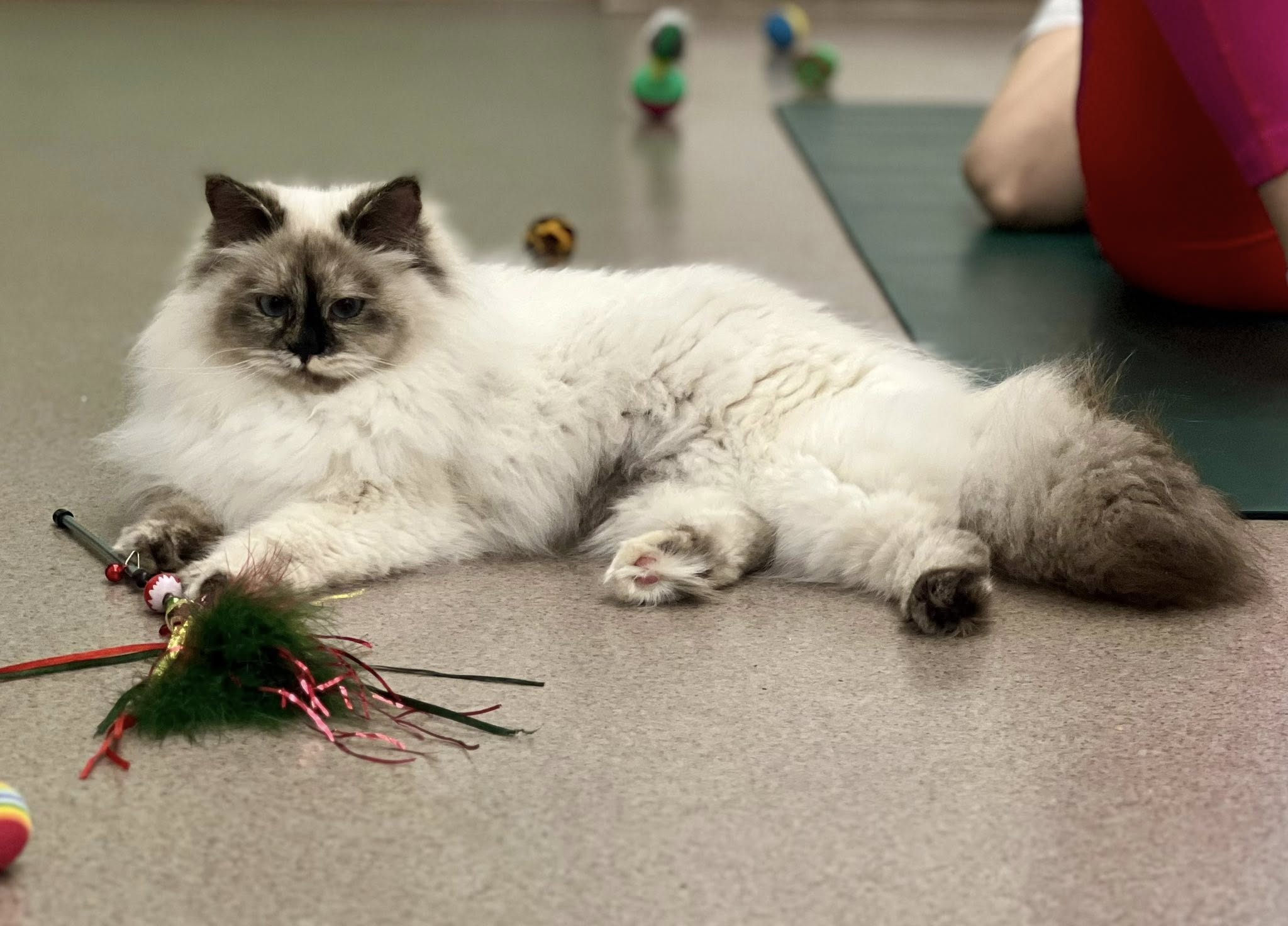 558198435_10214044120054885_4700311407637408885_n