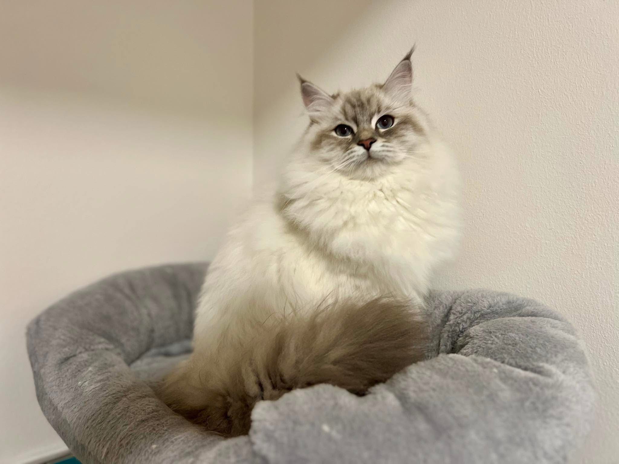 568486886_10214107670003594_1226283084844796812_n