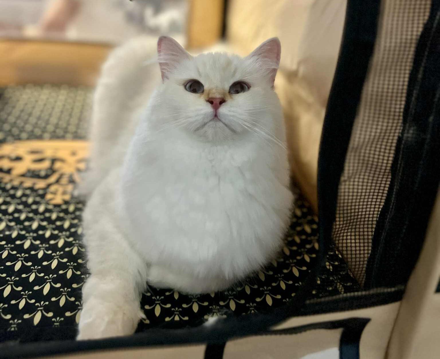 569346301_10214107647243025_5222477263240598920_n