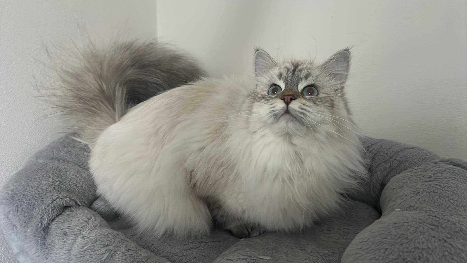 572023981_10214153768516028_6328908655531732887_n