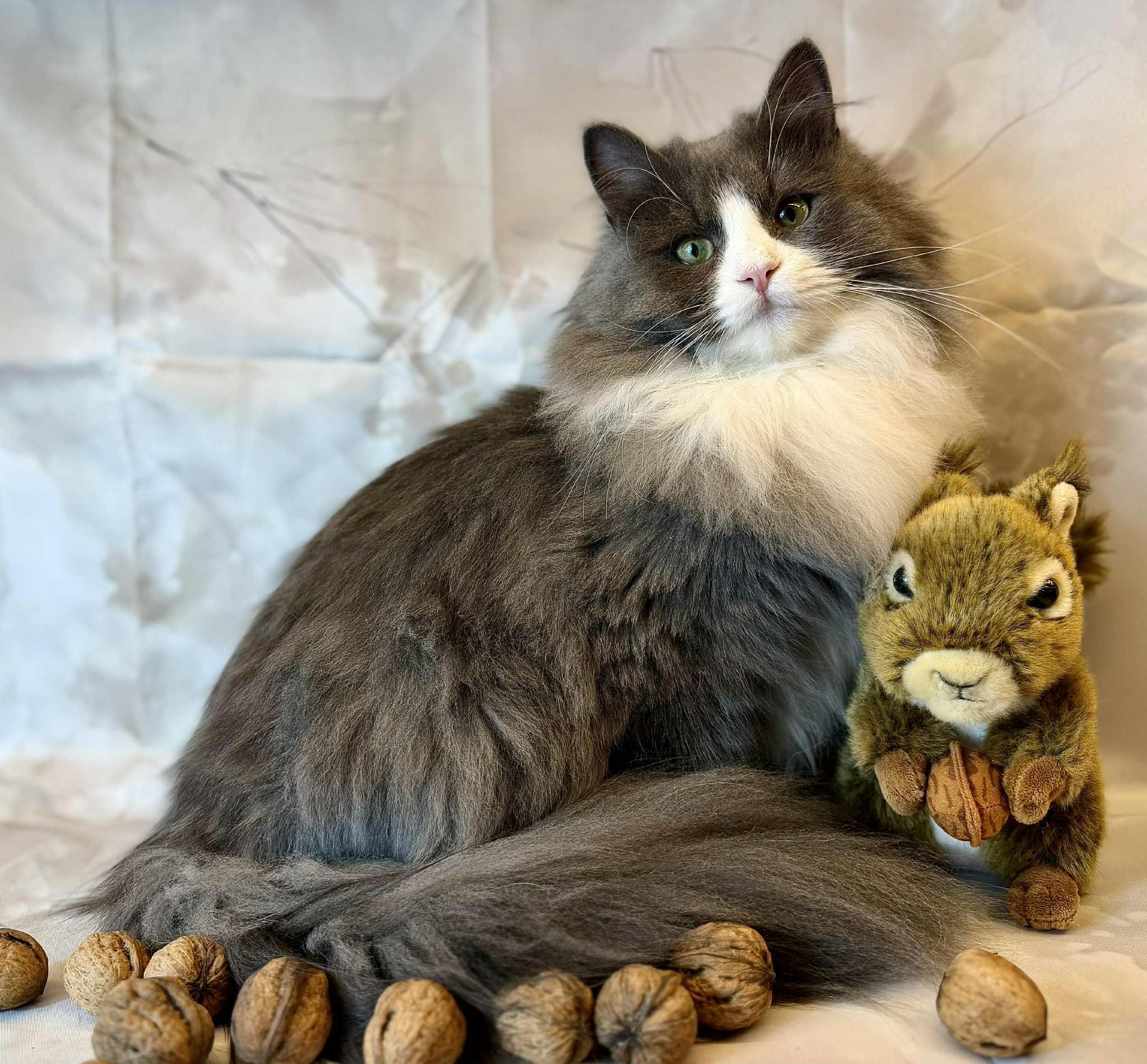 598303675_10214395485518802_6418317278374888346_n