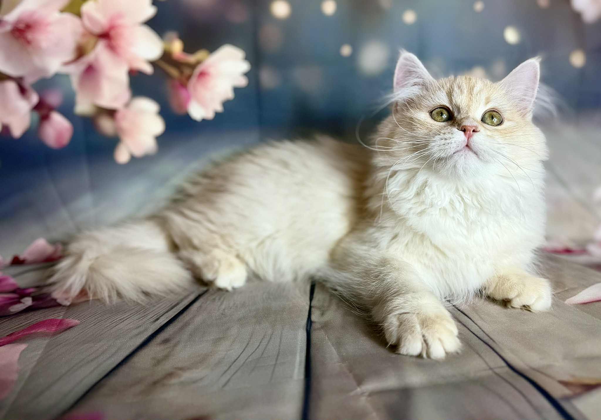 598825712_10214395596721582_907436741021696209_n