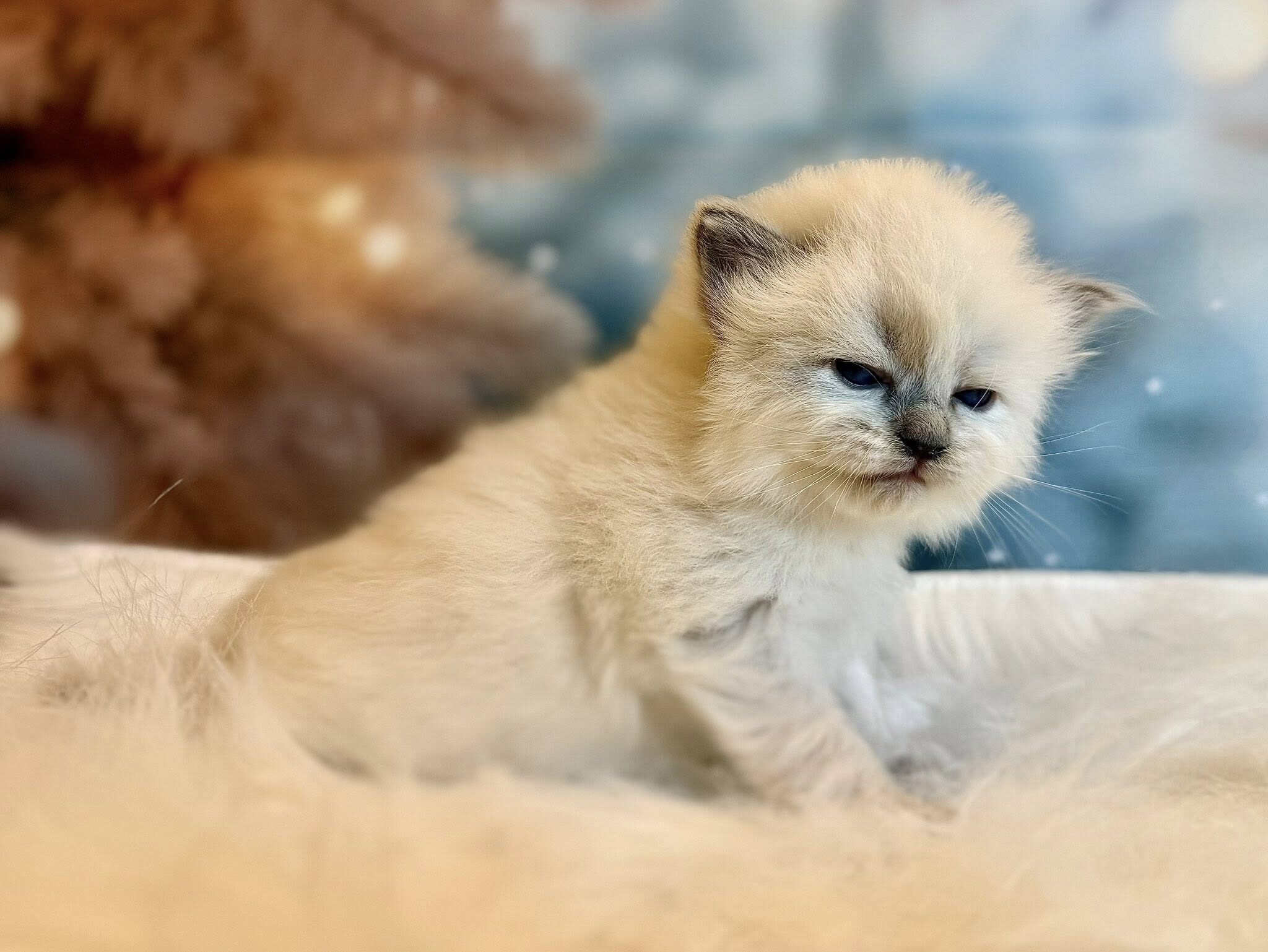 615172752_10214572797071480_6449414721162571824_n 615172752_10214572797071480_6449414721162571824_n