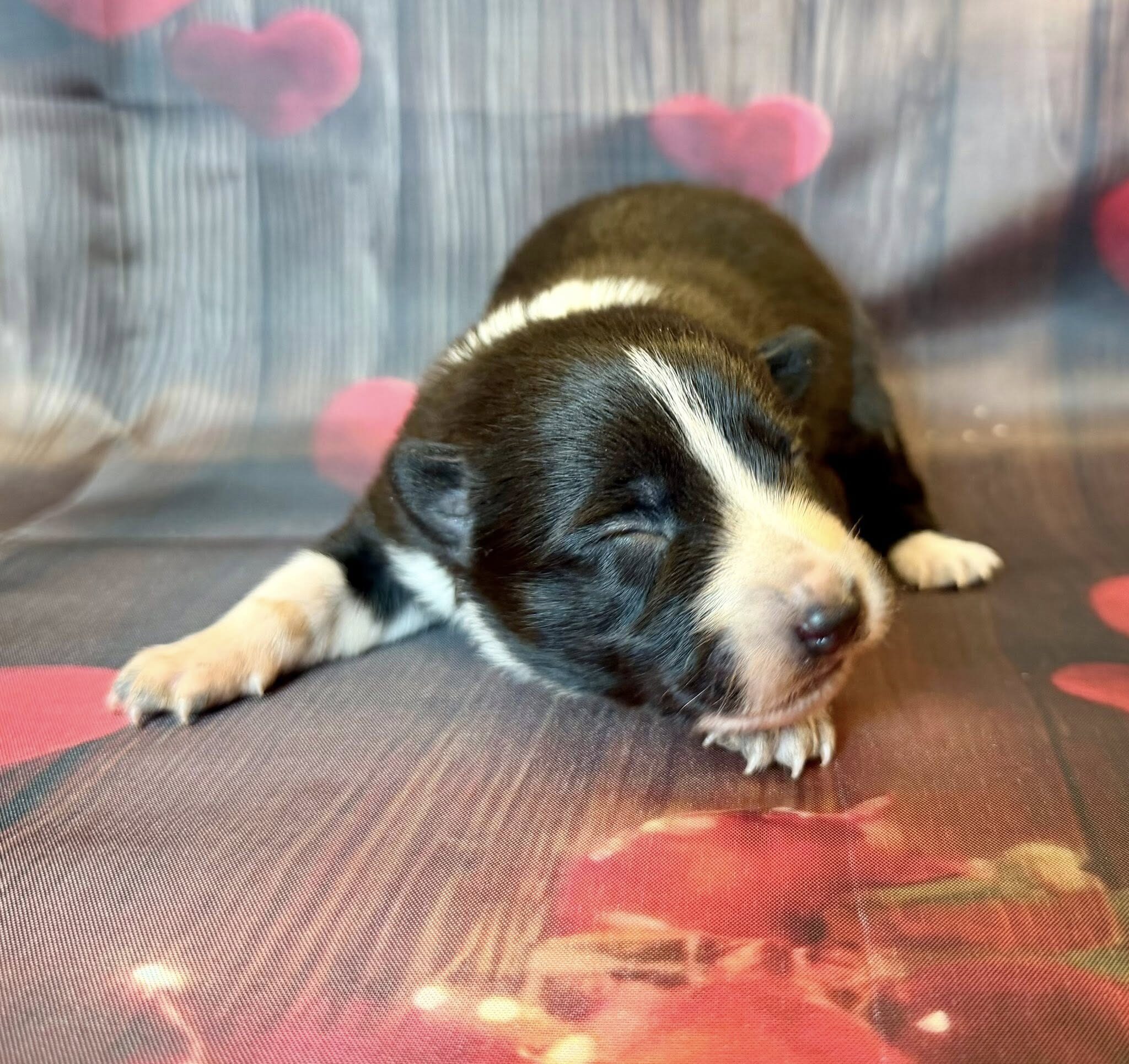 628815033_122322394988007403_2898475538019509943_n