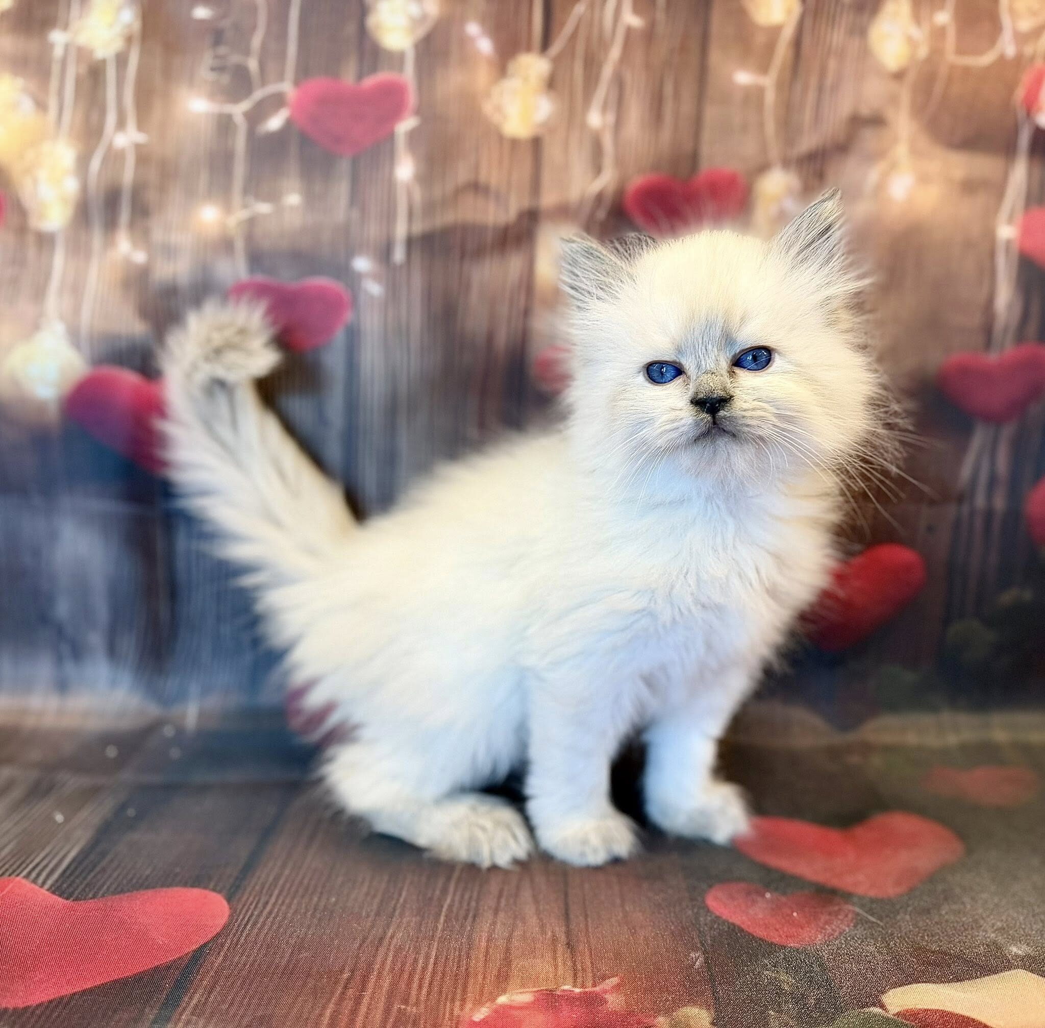 629441457_10214709218761937_4503886053037976779_n