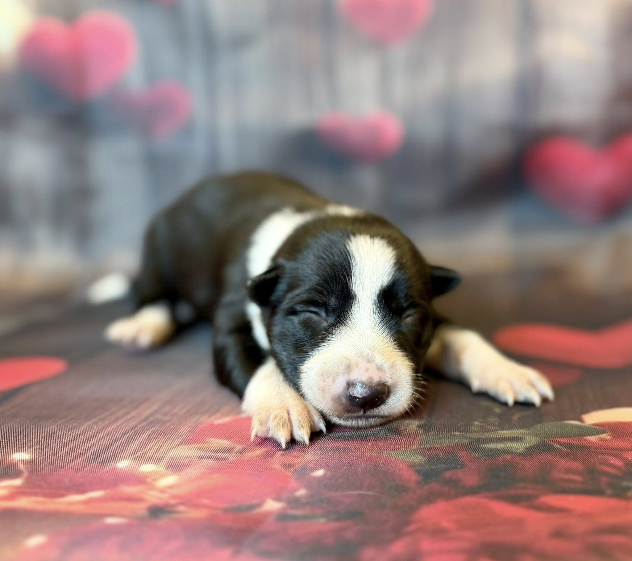 632304719_122322394934007403_8509080087700931271_n