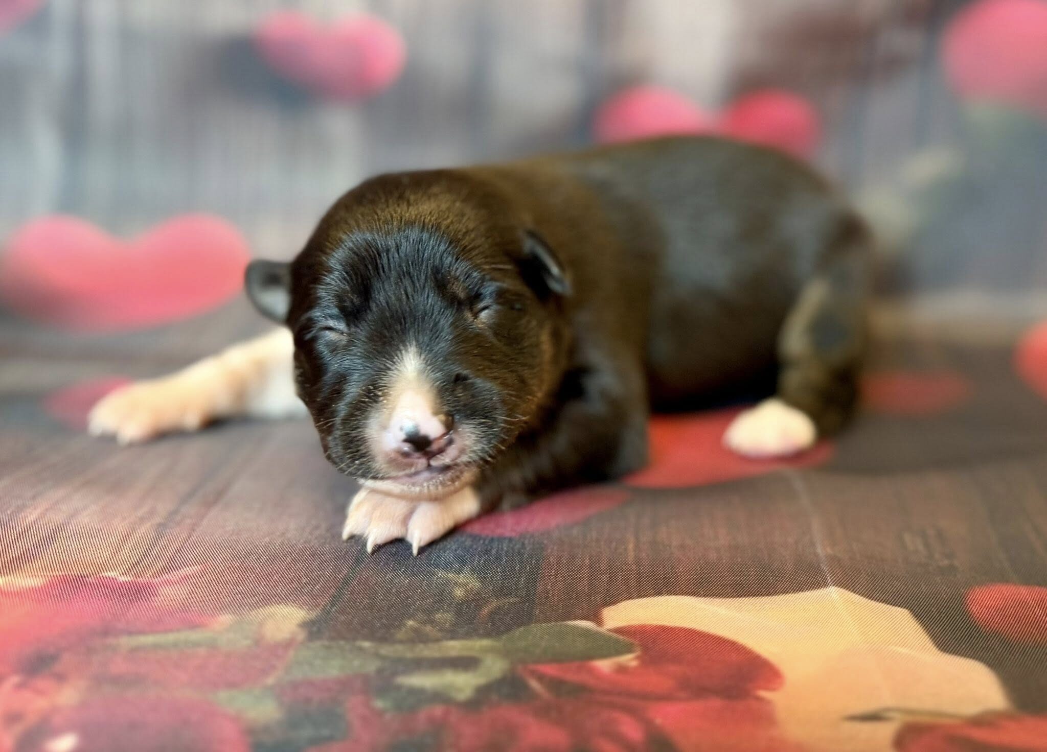 634180071_122322394922007403_6490225320148589803_n