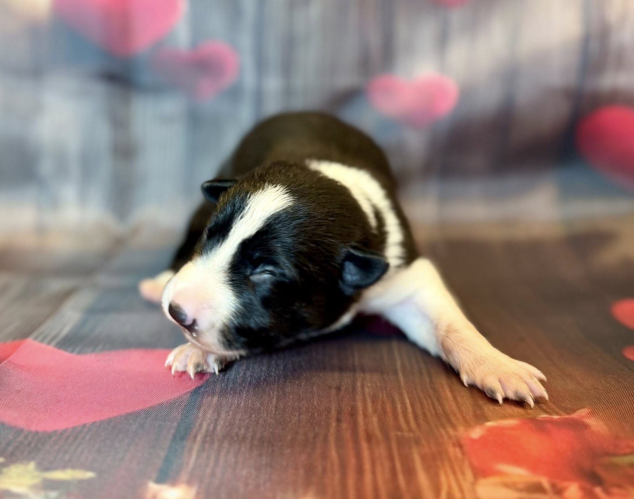 634306289_122322394946007403_355926552430907331_n