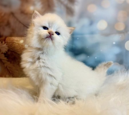 616109573_10214572757430489_829370310283199_n