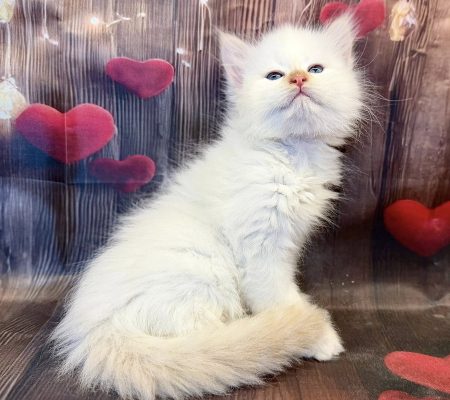 628068325_10214709227562157_9026703348077641660_n